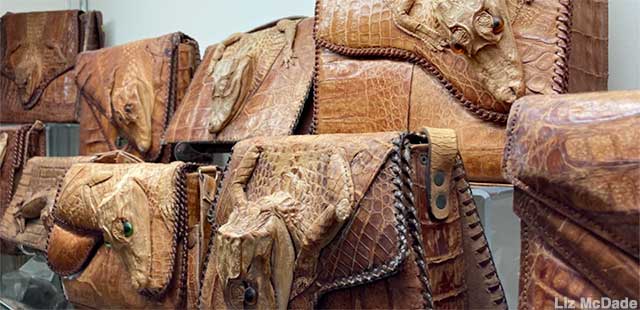Alligator-head handbags were fashionable in the 1920s.