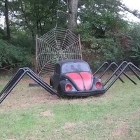 VW Spider Car