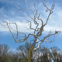 Giant Dead Silver Tree