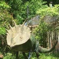 Yard Dinosaur of Ola Farwell