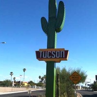 30-Foot-Tall Neon Cactus