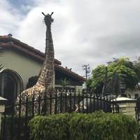 Front Yard Safari Statues