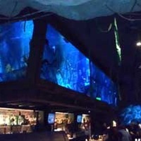 Dive Bar: Mermaids and Mermen
