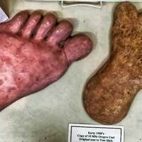 Bigfoot Capital: Museum and Statue