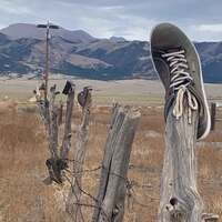 Shoes on Fence Posts