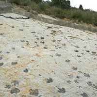 View Dinosaur Footprints from the Road, on Foot