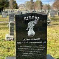 Charles Siegert: Death by Tiger