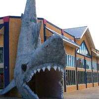 Giant Shark Mouth Entrance