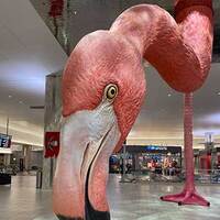 Phoebe the Giant Flamingo