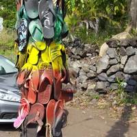 Hawaiian Shoe Tree: Flip Flops