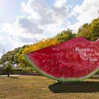 World's Largest Watermelon Slice
