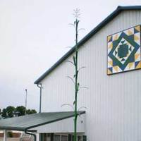 Replica of Once Tallest Corn Stalk