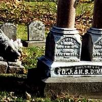 Rex the Loyal Grave Dog