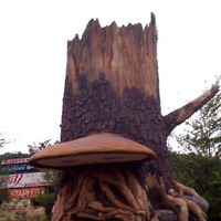 Tree Stump ATM