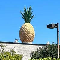 Giant Fiberglass Pineapple