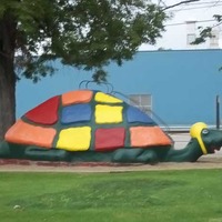 Large Playground Turtle, Town Turtle Races