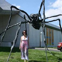 Big Spider Sculpture