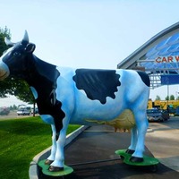Smiling Blue Cow