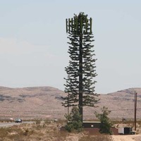 Cell Phone Tree That Fools No One