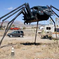 VW Beetle Spider