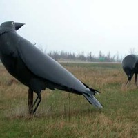 Big Crow Statues