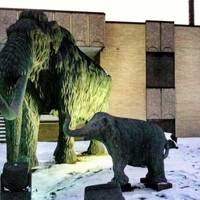 Woolly Mammoths of Cincinnati