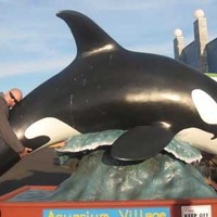 Giant Orca - Killer Whale Statue