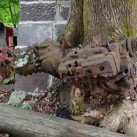 Engine Eaten by a Tree