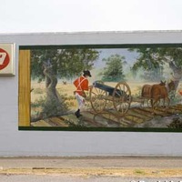 Swamp Fox Murals