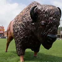 Al's Oasis - Big Buffalo