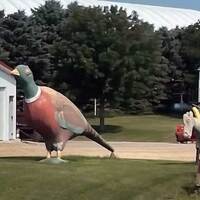 Big Pheasant Statue