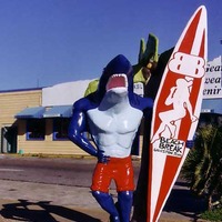 Surfboard Shark-Man