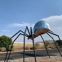 Giant License Plate Spider