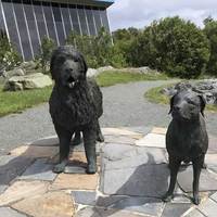 Dog Statues of Labrador and Newfoundland