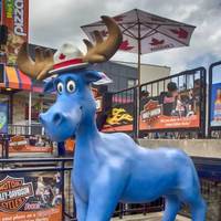 Blue Moose With Mountie Hat