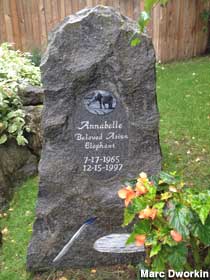Outdoor boulder gravestone engraved, 