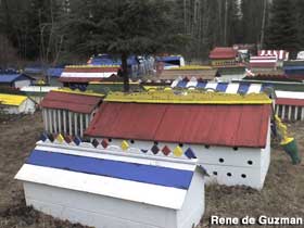 Small, above-ground mausoleums made of colorfully painted wood.