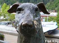 Close-up of bronze Patsy the Dog sculpture's nose.