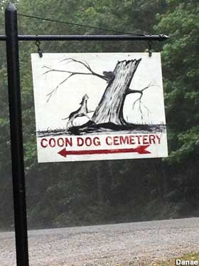 Sign pointing to the Coon Dog Cemetery has a drawing of a dog that has treed a raccoon.