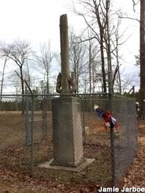 Tombstone resembling a tree is encircled by a fence at the entrance to the Coon Dog Graveyard.