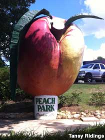 Outdoor statue of a large, full-color peach atop a base that reads, 