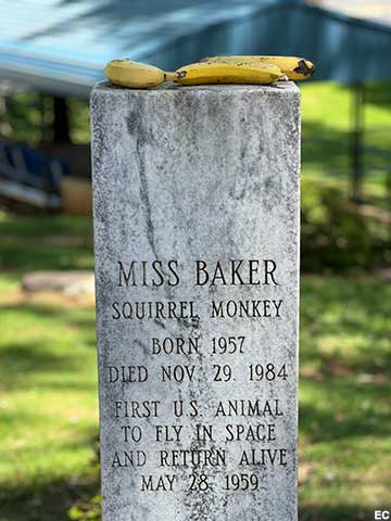 Miss Baker grave and banana offerings.