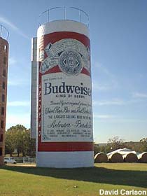 Budweiser beer can.