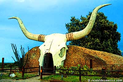 Giant cattle skull, Amado, Arizona.