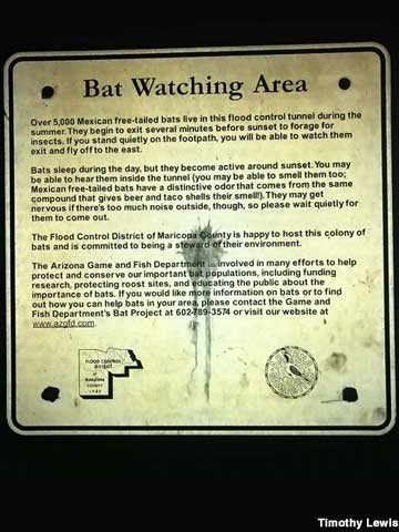 Bat Watching Area.
