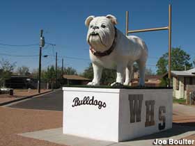 Bulldog statue.