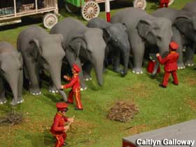Elephants in the miniature circus.  