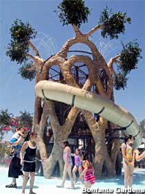 Circus Tree replica water attraction.