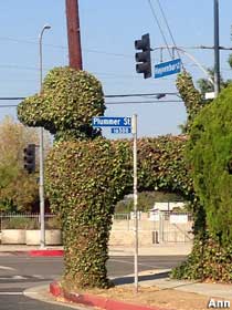 Topiary poodle.