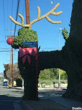 Topiary reindeer makeover.